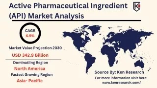 active pharmaceutical ingredient api market