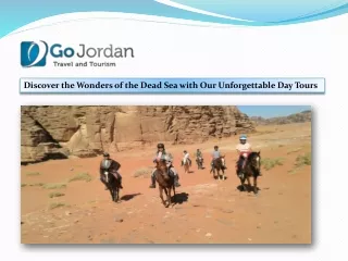 Discover the Wonders of the Dead Sea with Our Unforgettable Day Tours