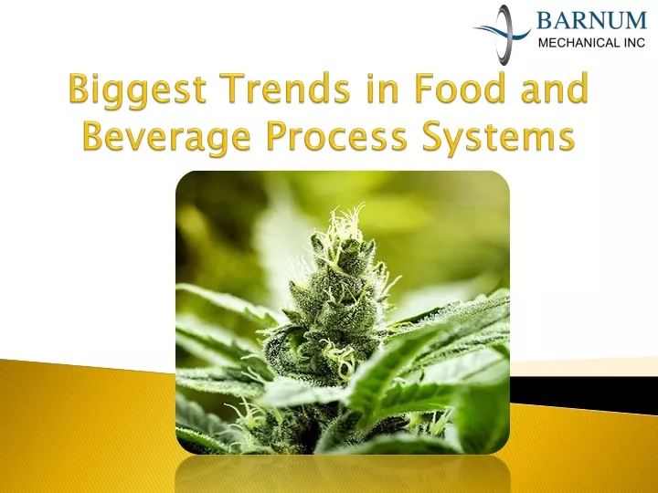 biggest trends in food and beverage process systems
