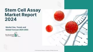 Stem Cell Assay Market Report 2024-2033 | Share, Trends