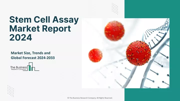 stem cell assay market report 2024