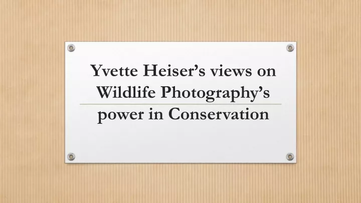 yvette heiser s views on wildlife photography s power in conservation