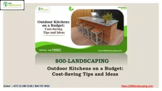 Outdoor Kitchens on a Budget Cost-Saving Tips and Ideas