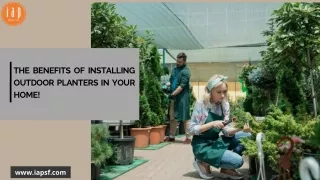 Explore The Benefits of Installing Outdoor Planters in Your Home!