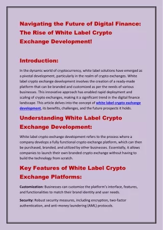 Navigating the Future of Digital Finance: The Rise of White Label Crypto Exchang