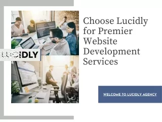 Choose Lucidly for Premier Website Development Services