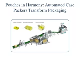 Pouches in Harmony: Automated Case Packers Transform Packaging