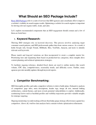 what should an seo package include
