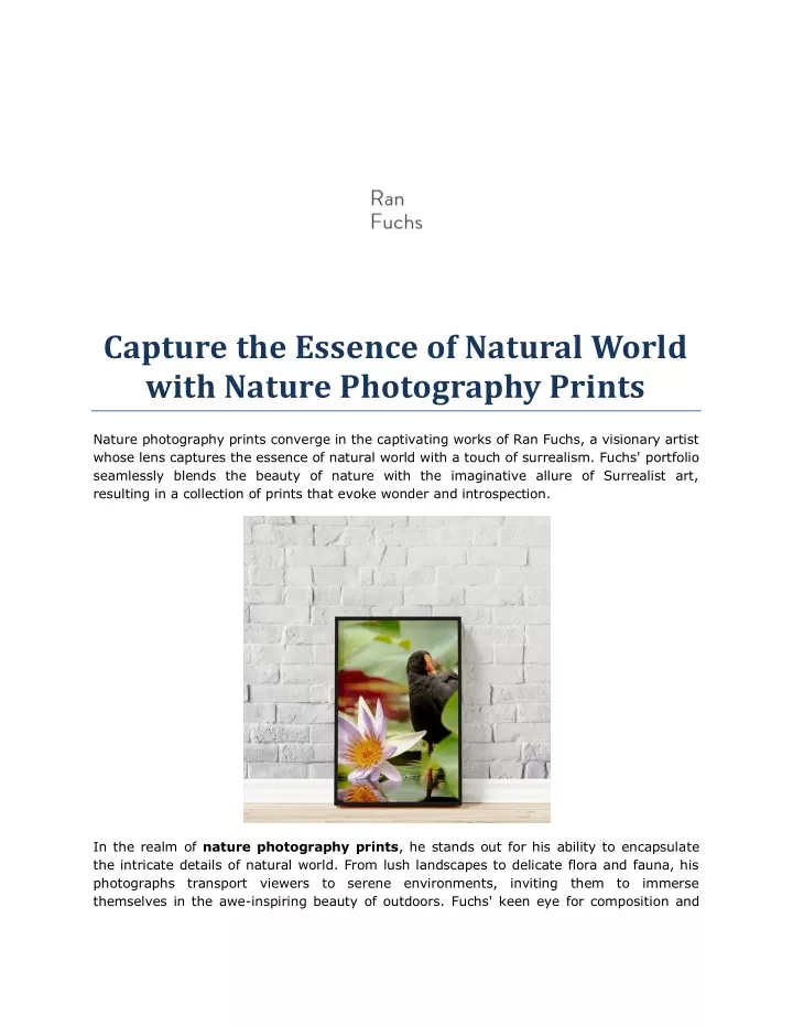 capture the essence of natural world with nature