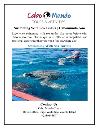 Swimming With Sea Turtles | Cabomundo.com