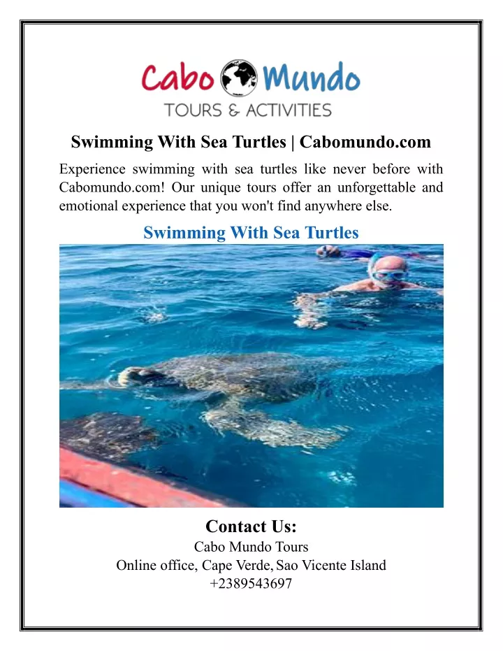 swimming with sea turtles cabomundo com