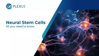 Neural Stem Cells : All You Need to Know