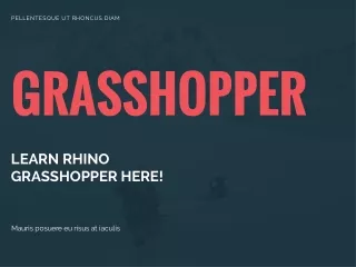 rhino grasshopper