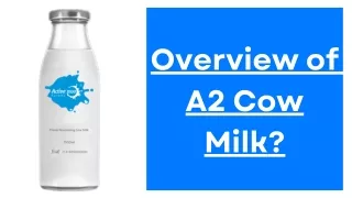 Active Moo Farmms: Overview of A2 Cow Milk