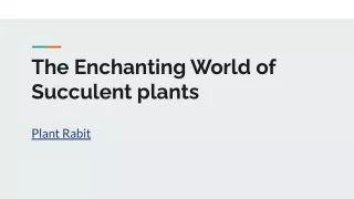 The Enchanting World of Succulent plants