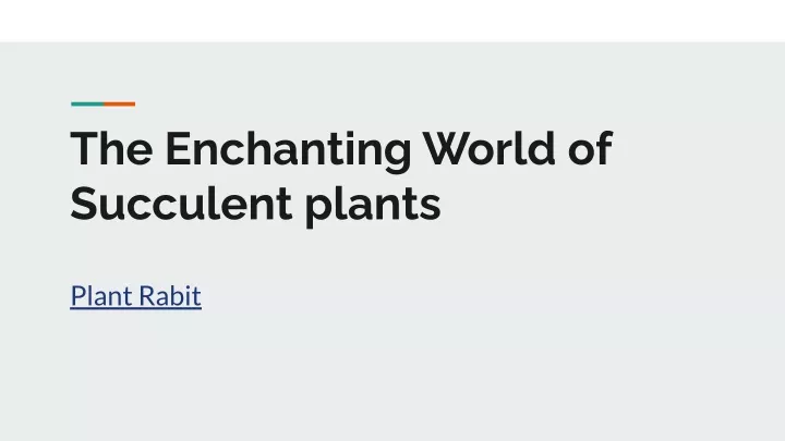 the enchanting world of succulent plants