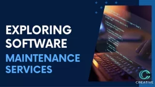 Exploring Software Maintenance Services