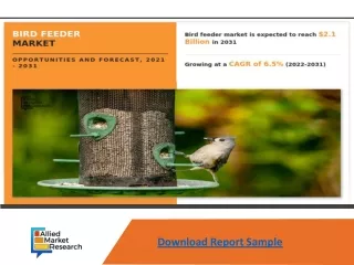 download report sample