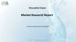 Mozzarella Cheese Market Dynamics, Size, and Future Growth Trend 2022-2028 - slide 1