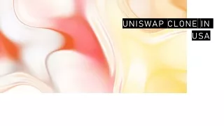 Uniswap Clone in USA