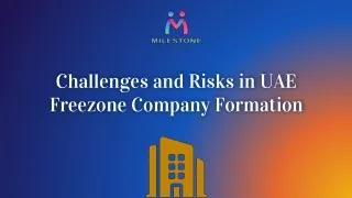 Challenges and Risks in UAE Freezone Company Formation