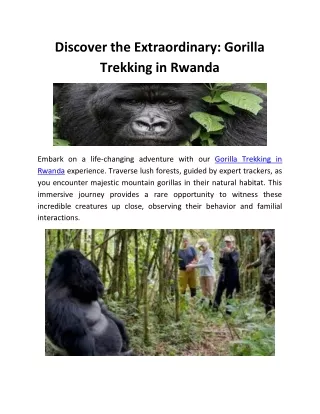 Discover the Extraordinary : Gorilla Trekking in Rwanda