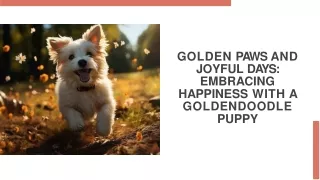 Golden Moments Welcoming Joy with a Goldendoodle Puppy