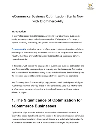 eCommerce Business Optimization Starts Now with EcommerceAlly