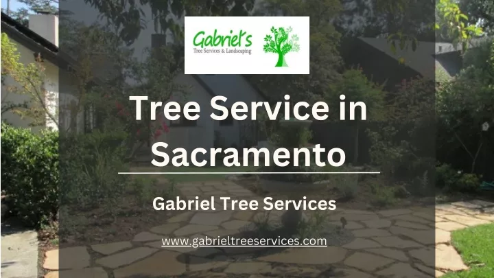 tree service in sacramento