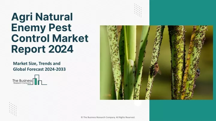 agri natural enemy pest control market report 2024