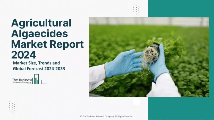 agricultural algaecides market report 2024
