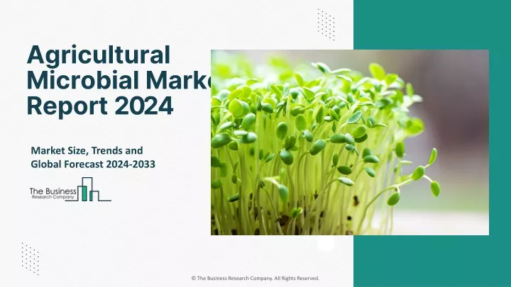agricultural microbial market report 2024