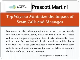 Fraud management solutions - Prescott Martini