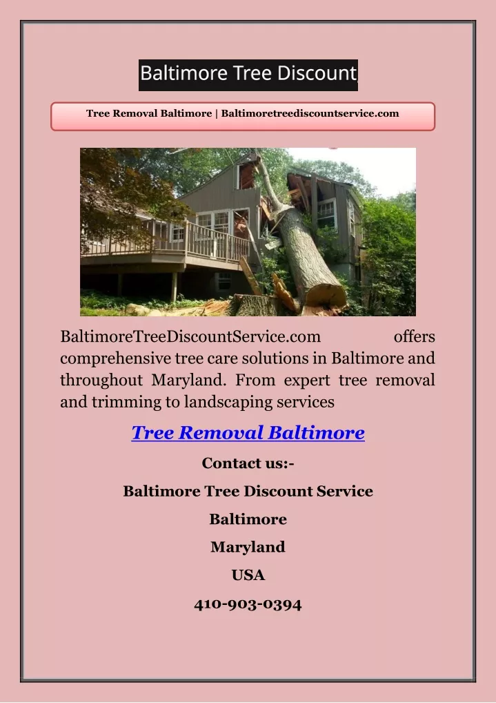 tree removal baltimore