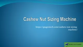 cashew nut sizing machine