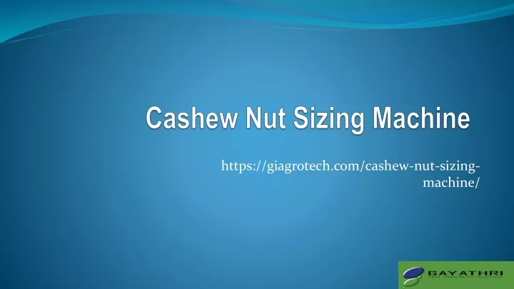 cashew nut sizing machine