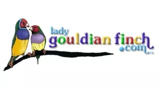 ladygouldianfinch.com-logo.ppt
