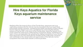 Hire Keys Aquatics for Florida Keys aquarium maintenance