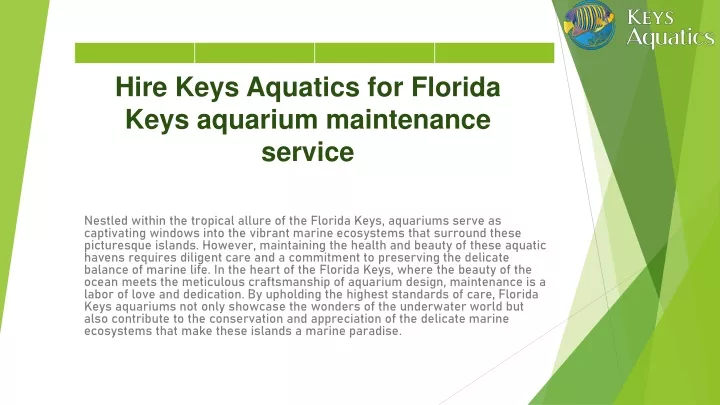 hire keys aquatics for florida keys aquarium maintenance service