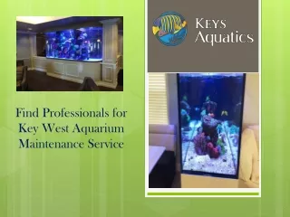 Find Professionals for Key West Aquarium Maintenance Service