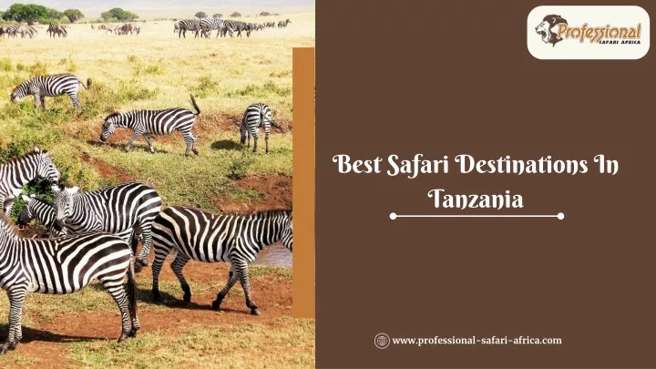 best safari destinations in tanzania