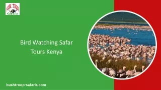 Bird Watching Safari Tours Kenya