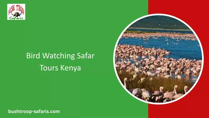 bird watching safar tours kenya