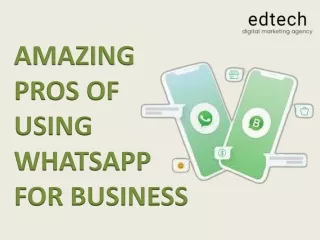 AMAZING PROS OF USING WHATSAPP FOR BUSINESS