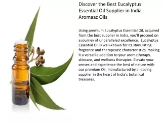Discover the Best Eucalyptus Essential Oil Supplier in India - Aromaaz Oils