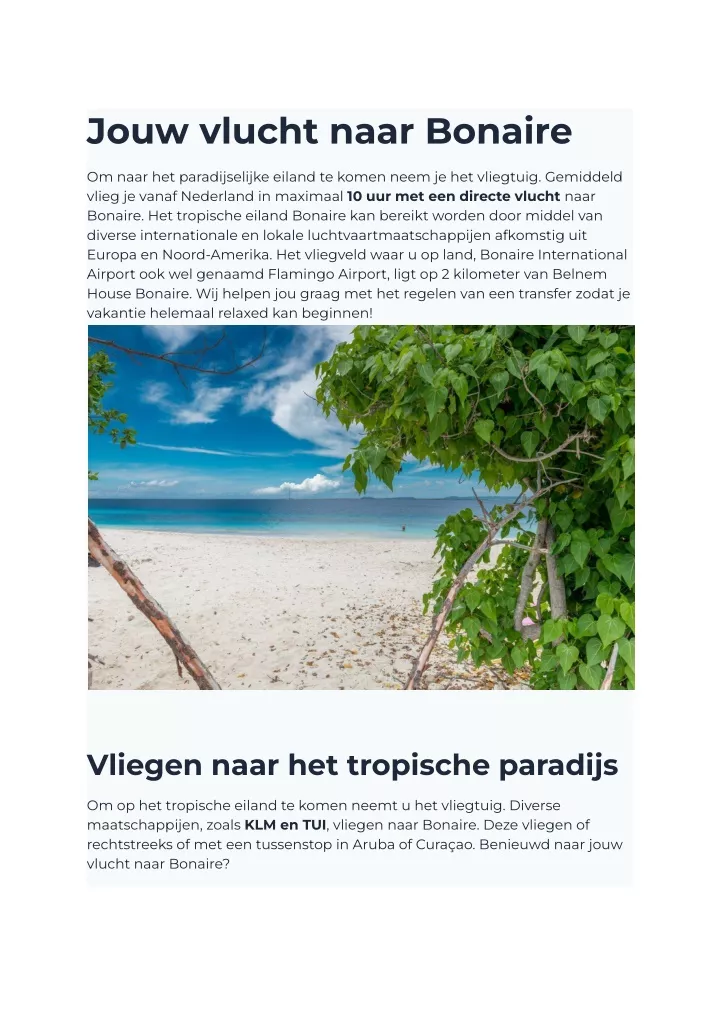 jouw vlucht naar bonaire