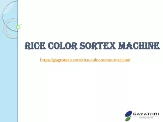 rice color sortex machine