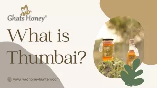 Wild Thumbai honey from Ghats honey