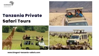 Tanzania Private Safari Tours