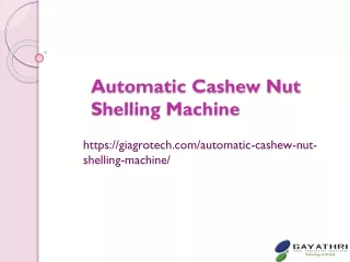 Raw Cashew Shelling Machine, Automatic Cashew Nut Cutting Machines Manufacturers